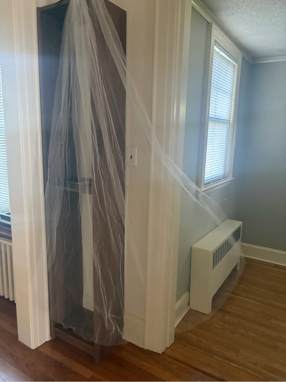 Sheer Floor Length Veil